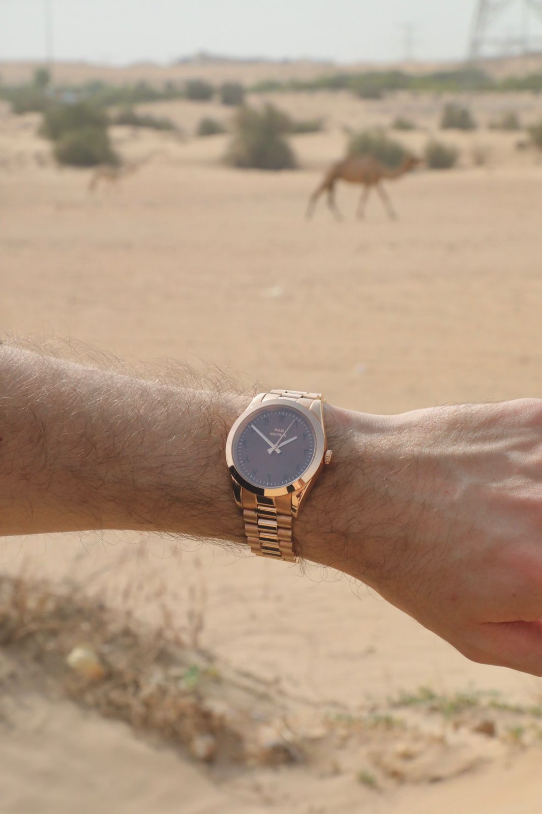 Explora Dubai Watch