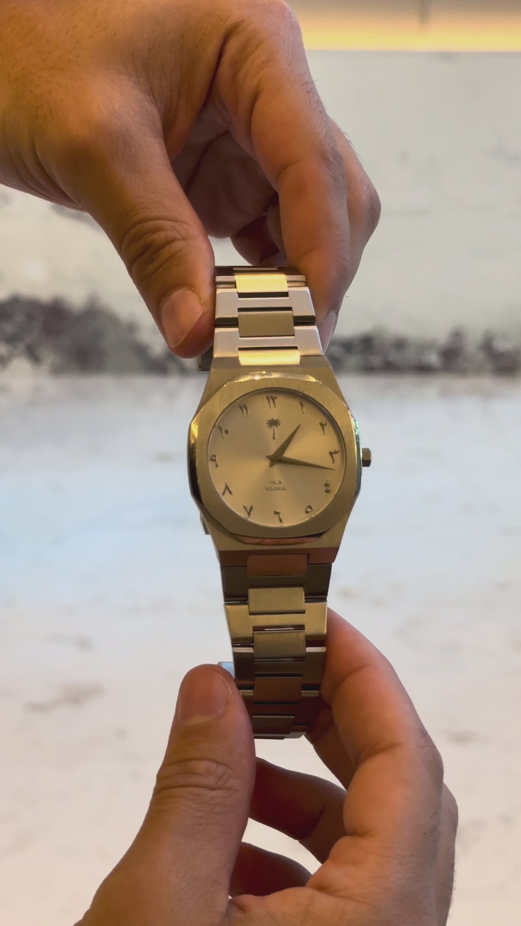 Arabic Numeral Steel Watch